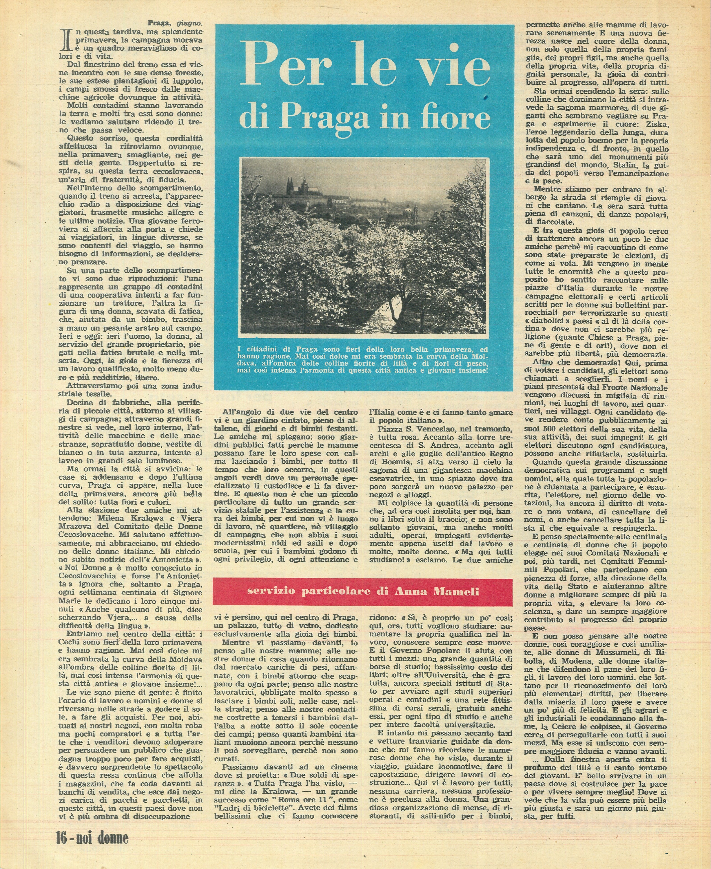 Foto: Fiori e sorrisi