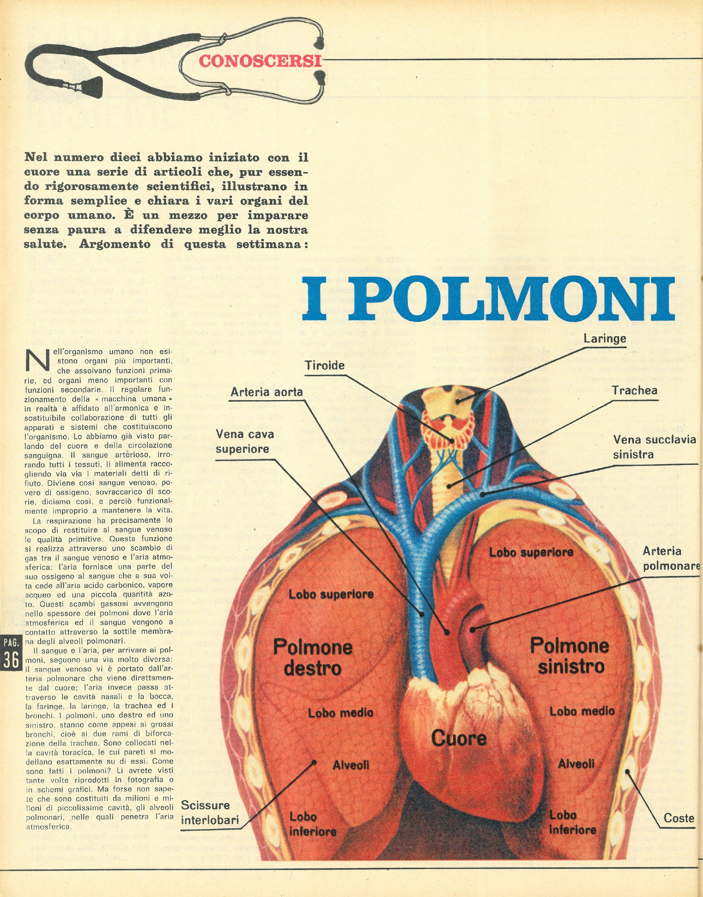 Foto: Simone De Beauvoir ci parla .....