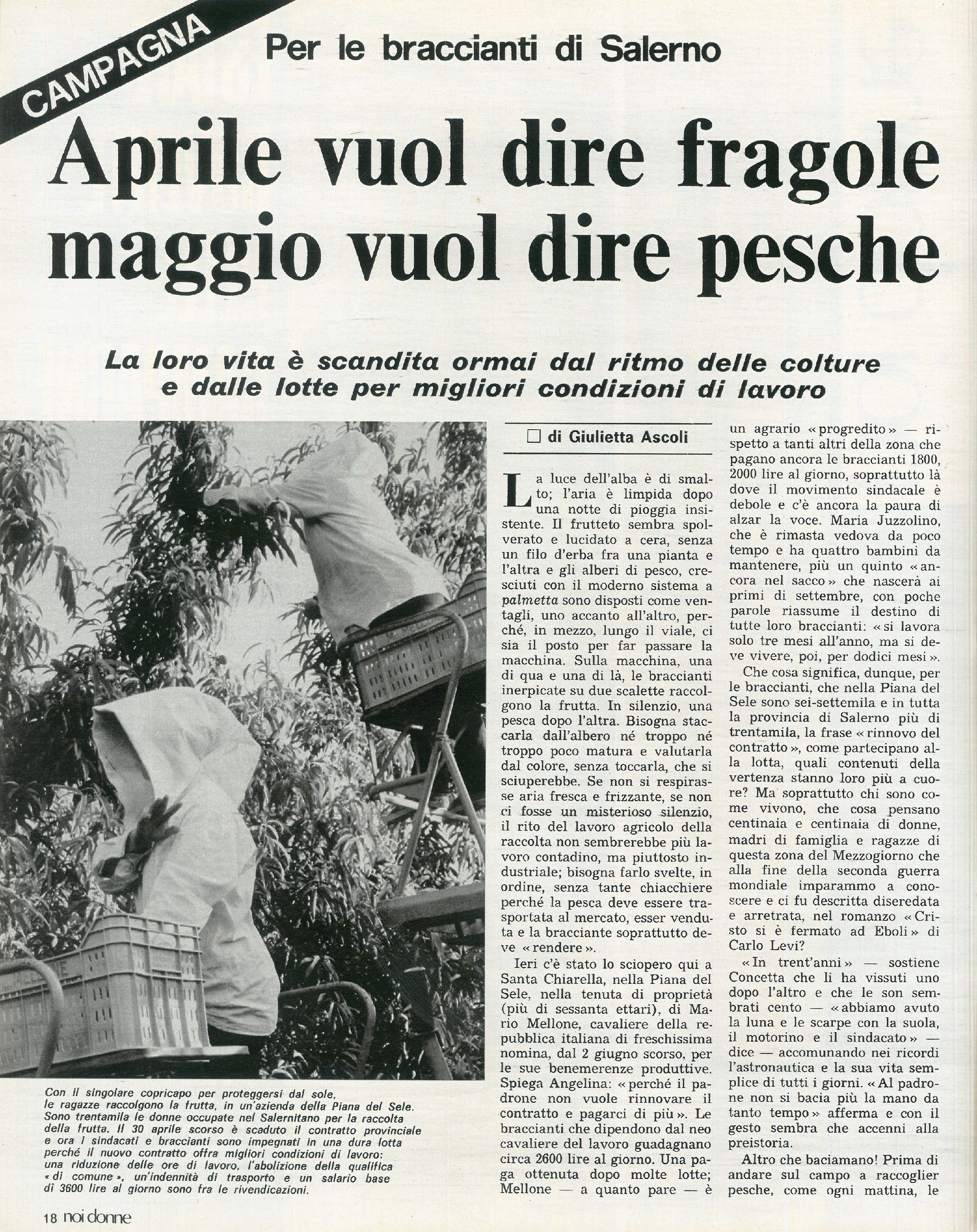 Foto: Speciale sulle condizioni di lavoro delle migliaia di donne italiane occupate nell’agricoltura. Le storie delle braccianti di Campania, Emilia Romagna, Umbria e Puglia – Spettacolo: anche il cinema e la tv dimenticano le braccianti e le mezzadre