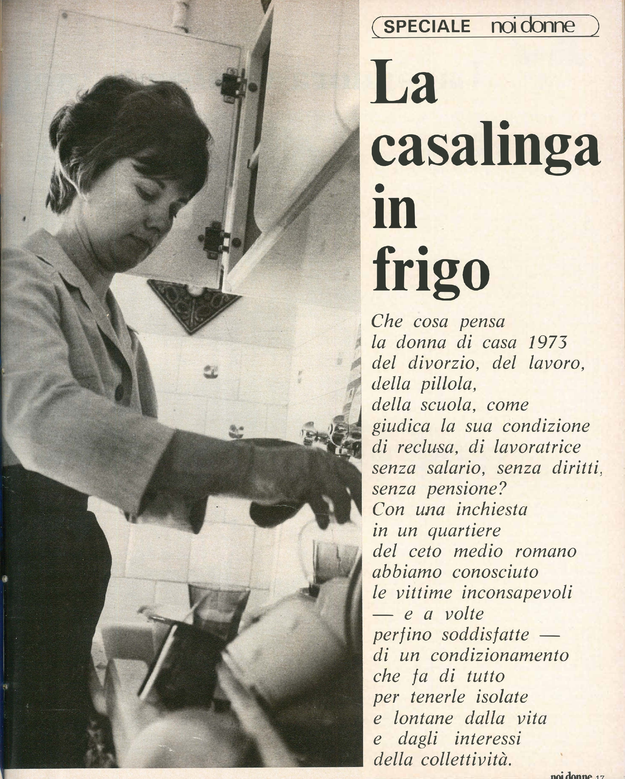 Foto: La casalinga in frigo