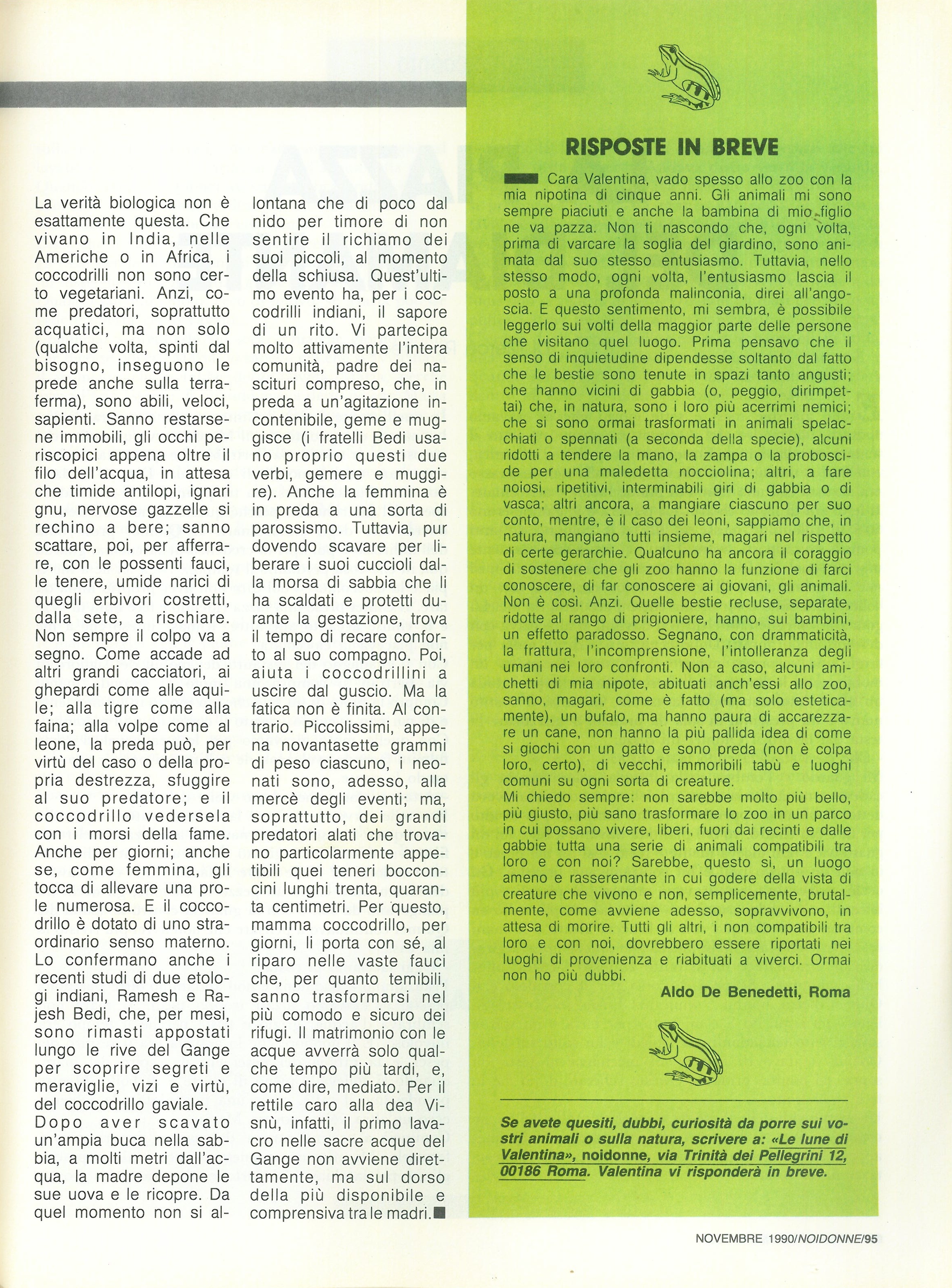 Foto: Paura dell'Islam tra politica e cultura