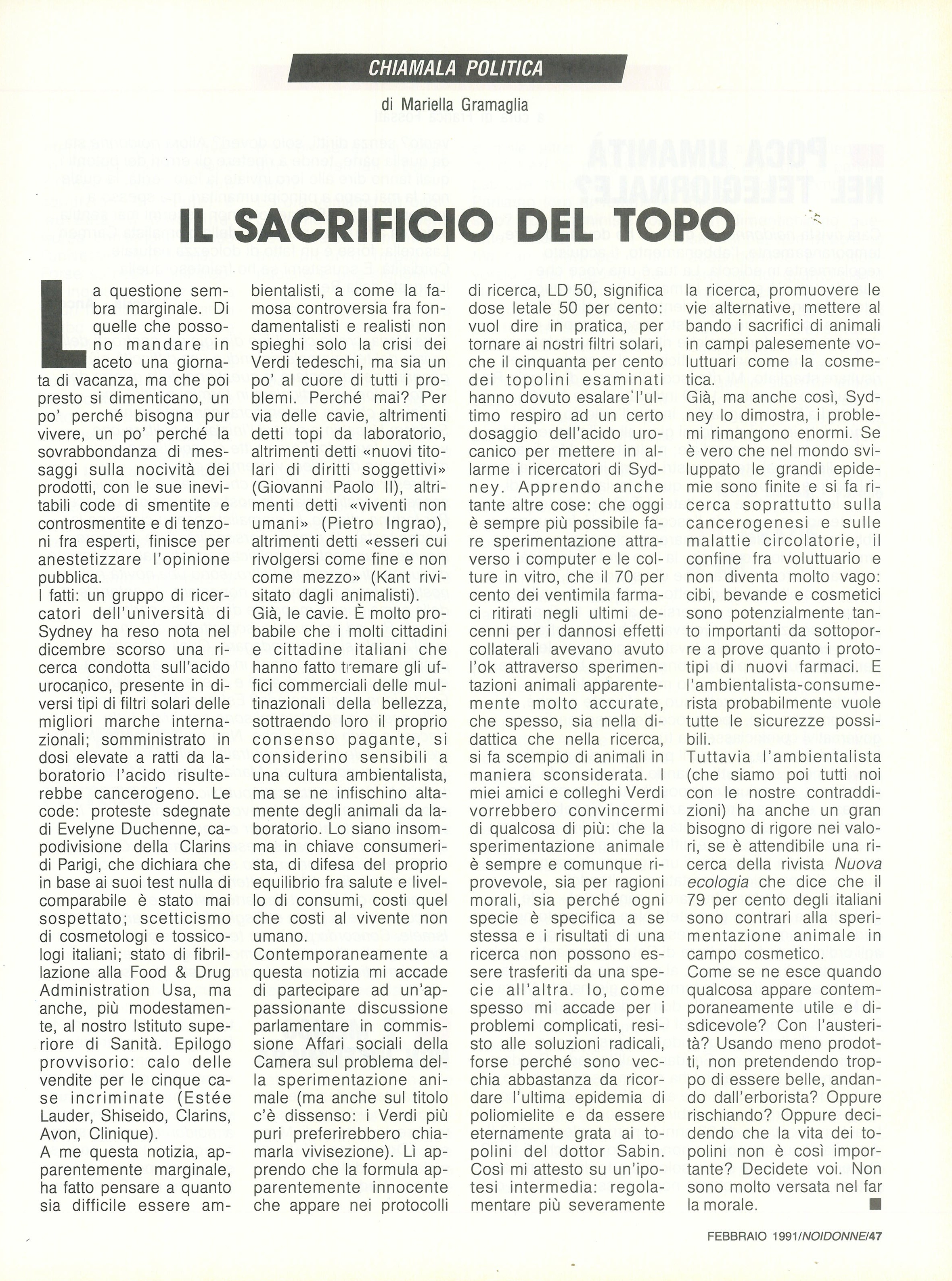 Foto: Le semplificazioni della guerra