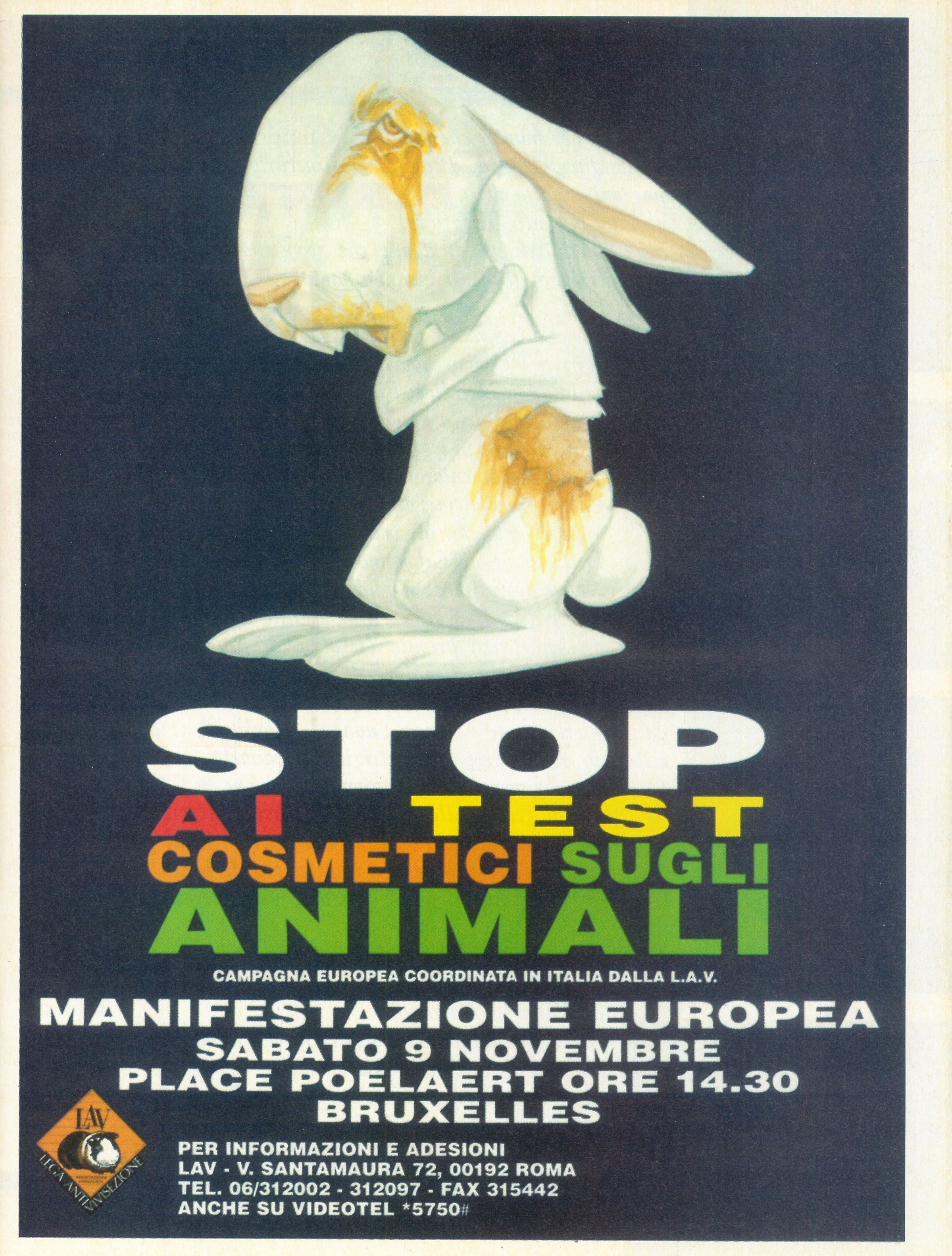 Foto: Lucciole senza frontiere