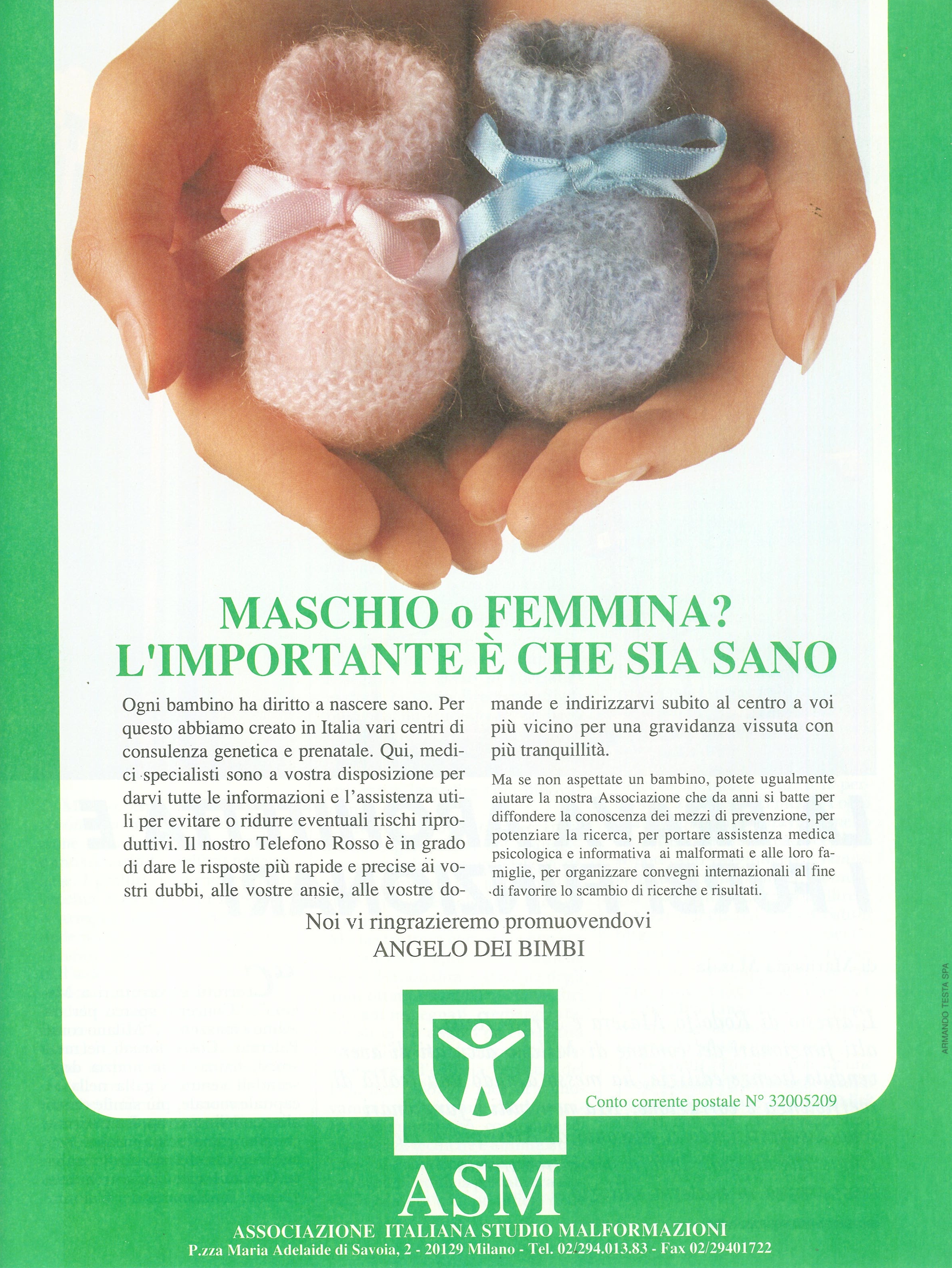 Foto: Cinque anni in Parlamento