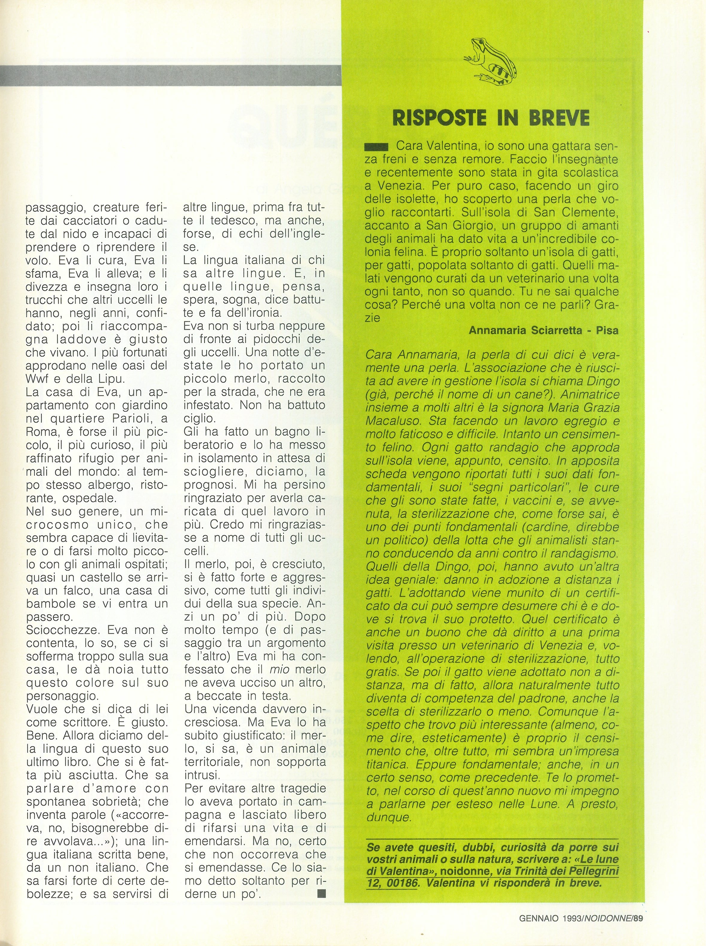 Foto: Cicogne tecnologiche