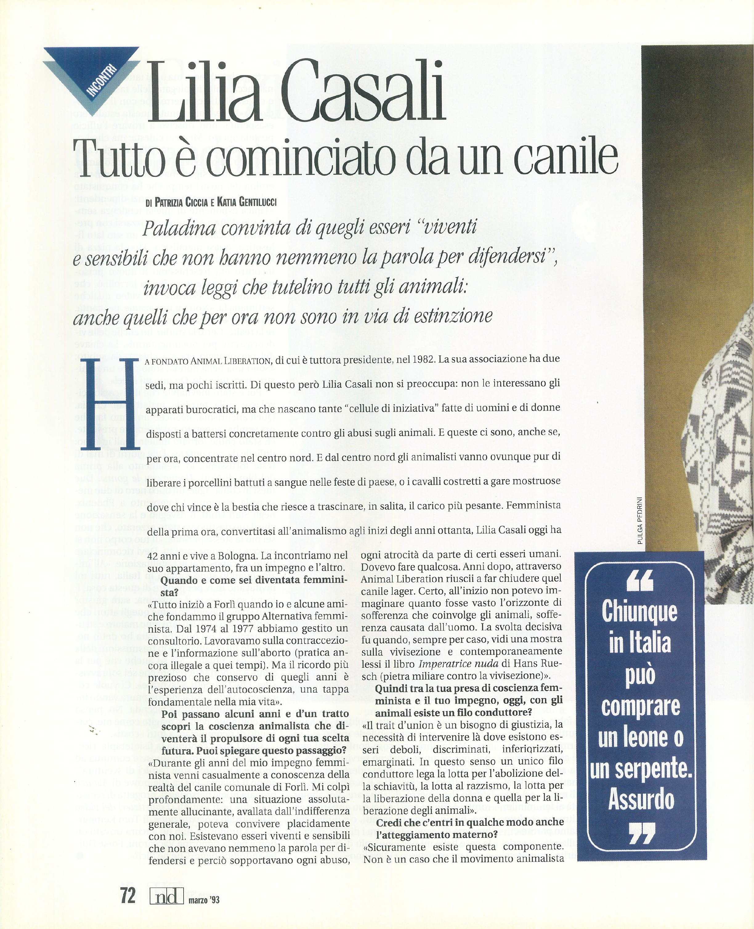 Foto: Italia nervosa? Mimosa!