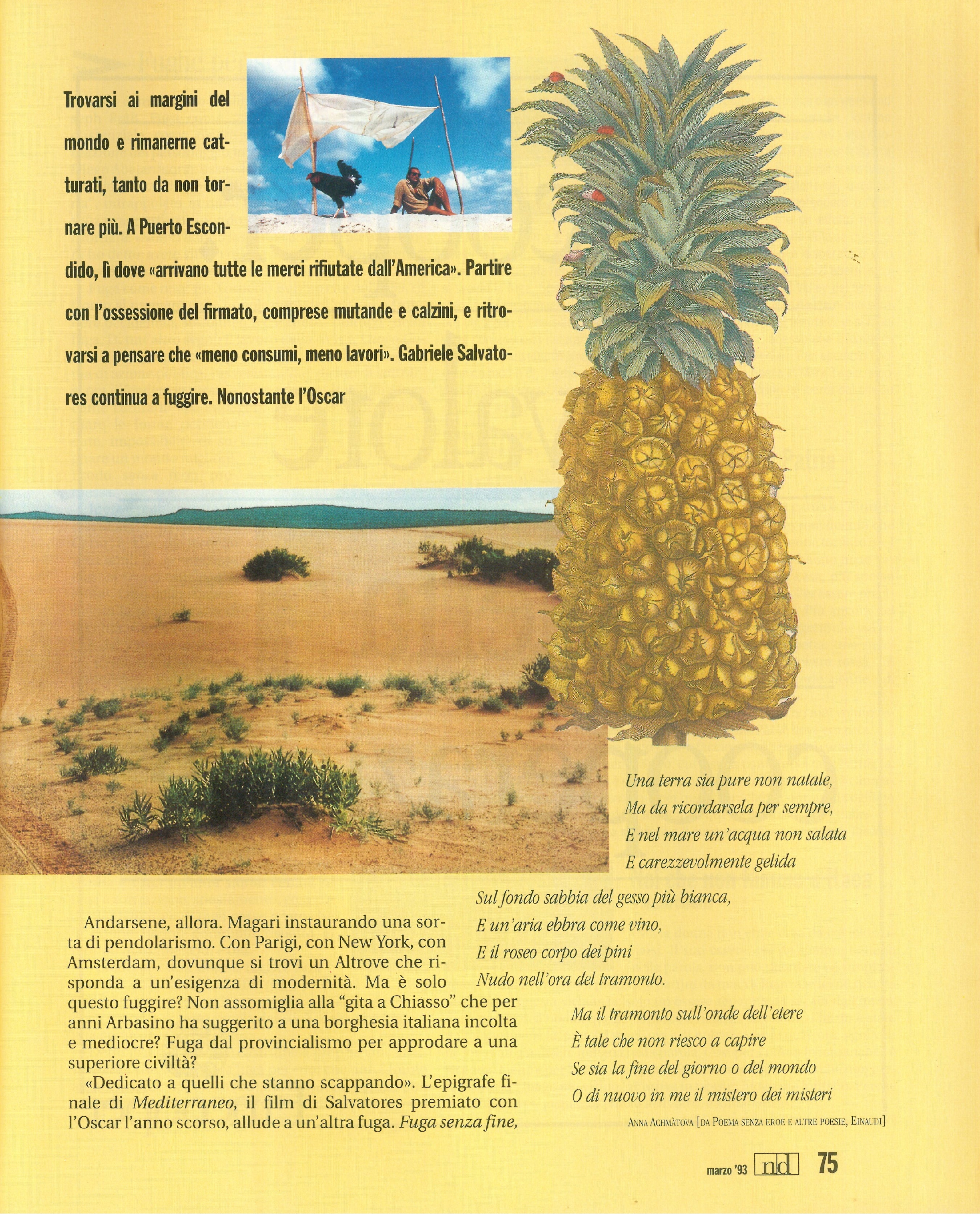 Foto: Italia nervosa? Mimosa!