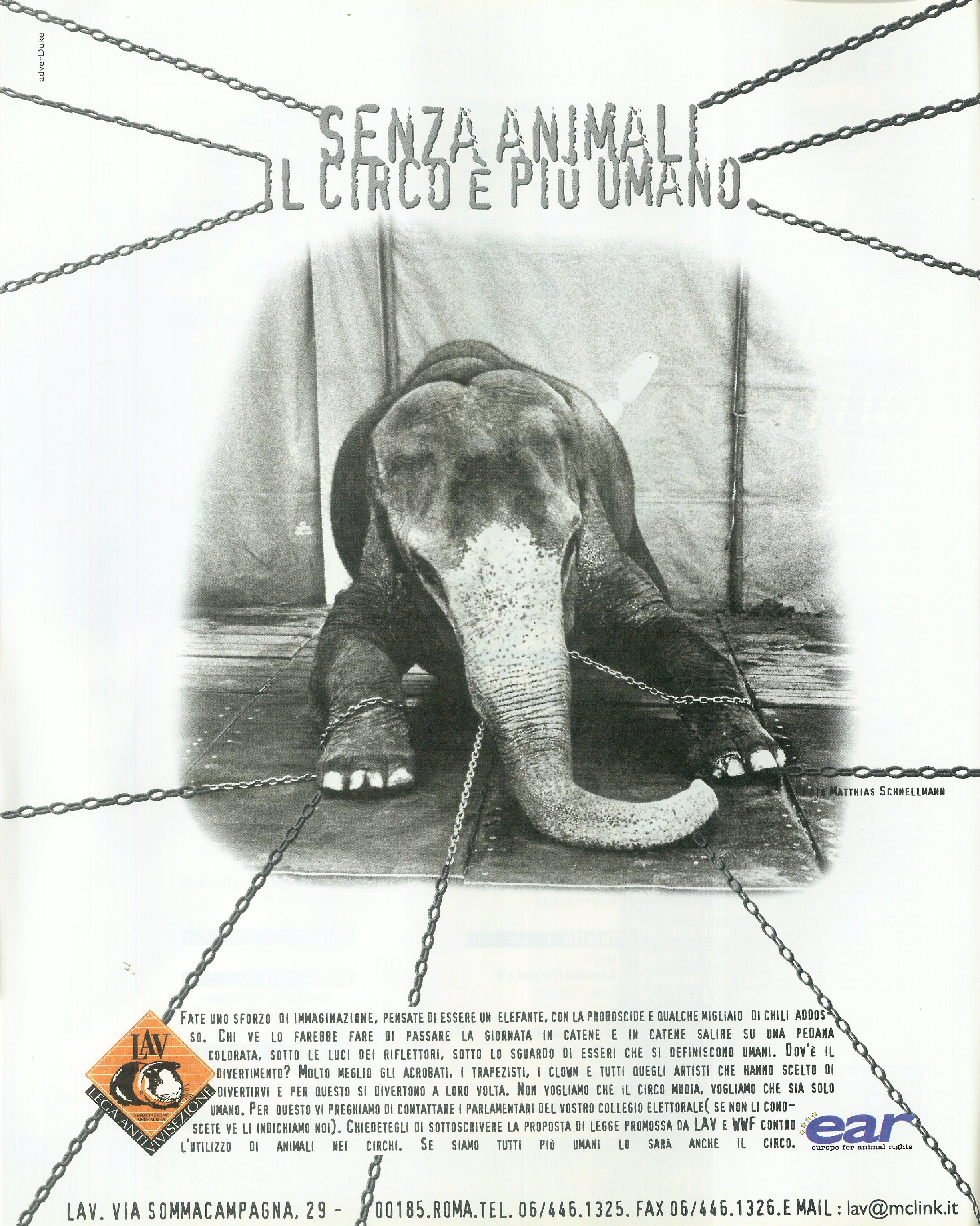 Foto: Bello e possibile
