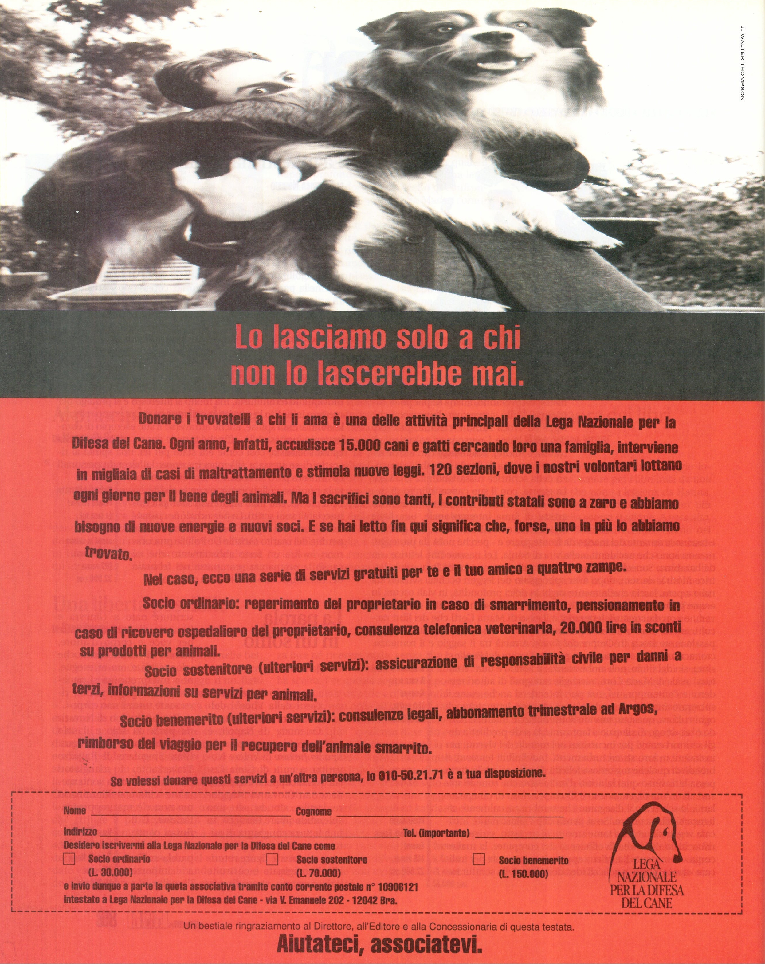 Foto: Bello e possibile