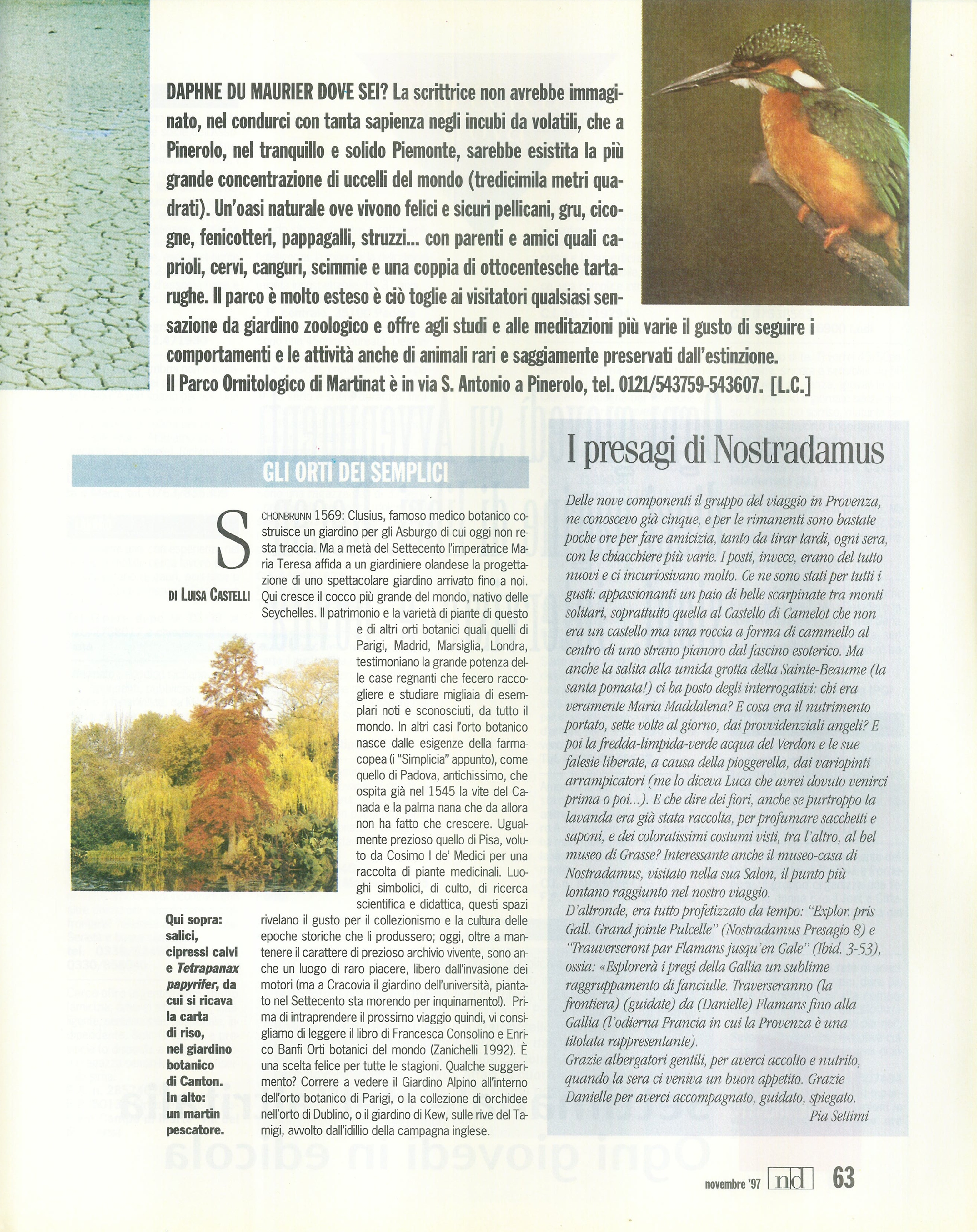 Foto: Le scelte di Francesca