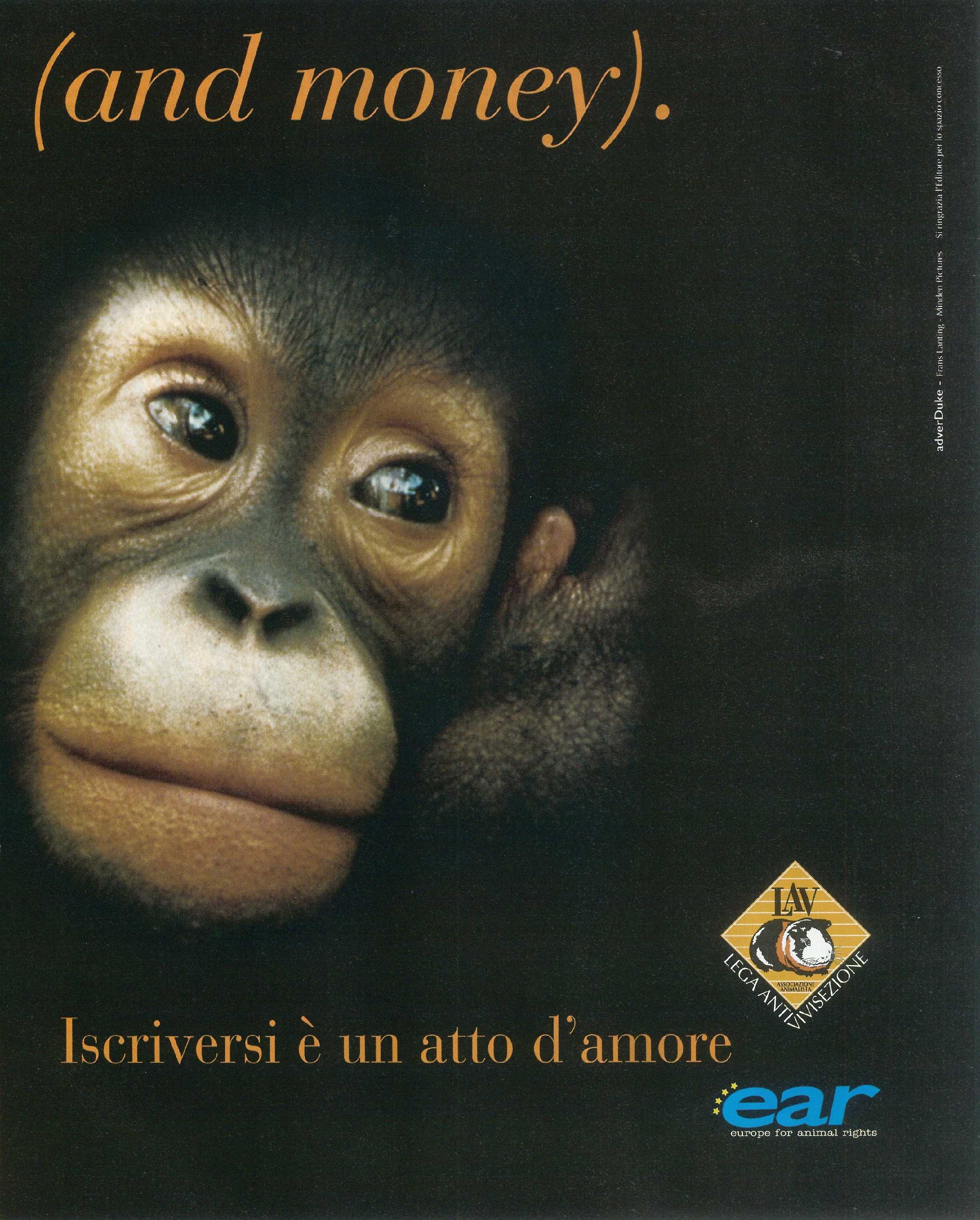 Foto: Lasciate che i bambini