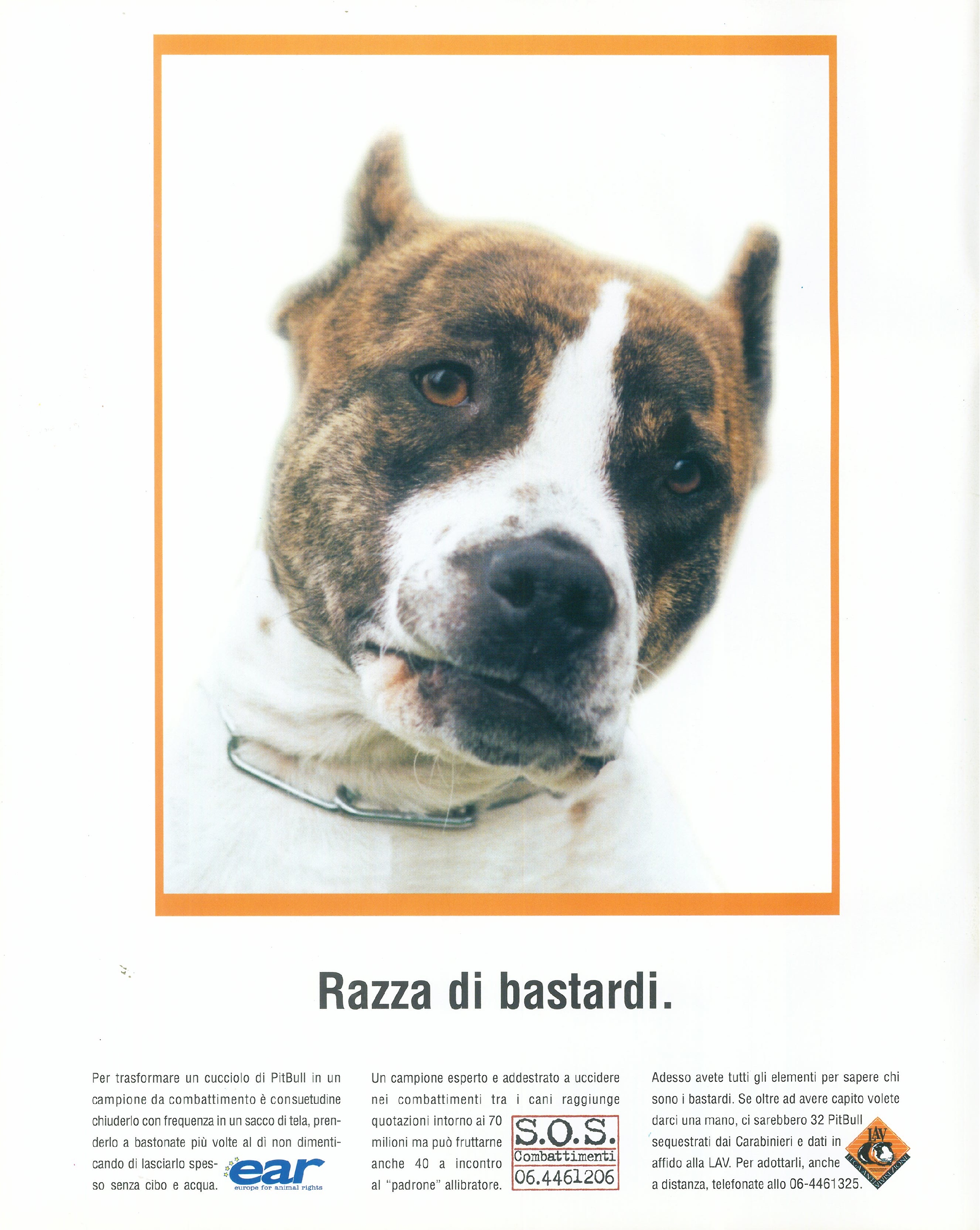 Foto: Vite senza tregua