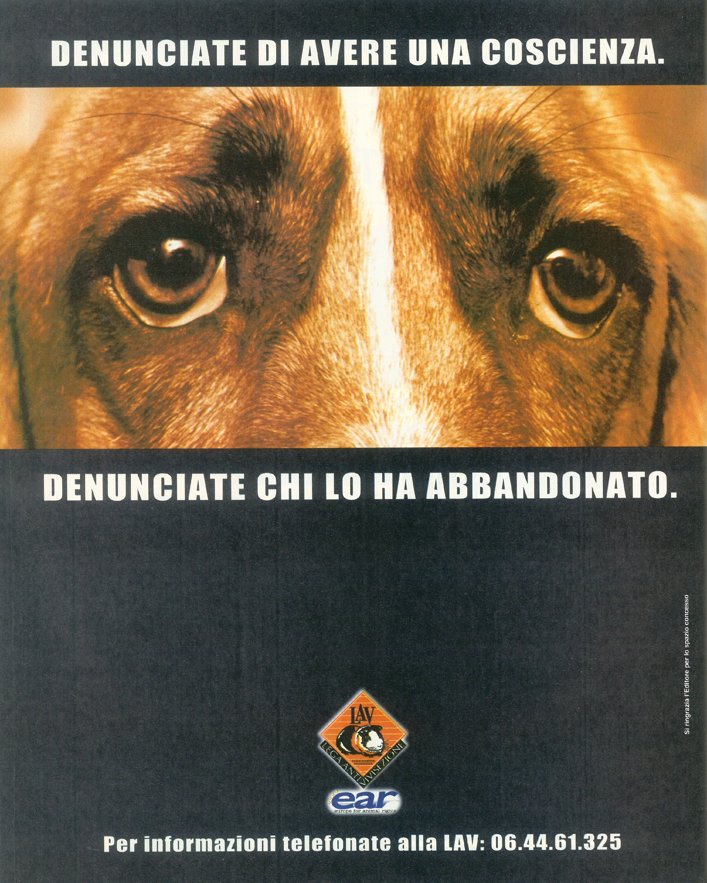 Foto: Effetto Bonino
