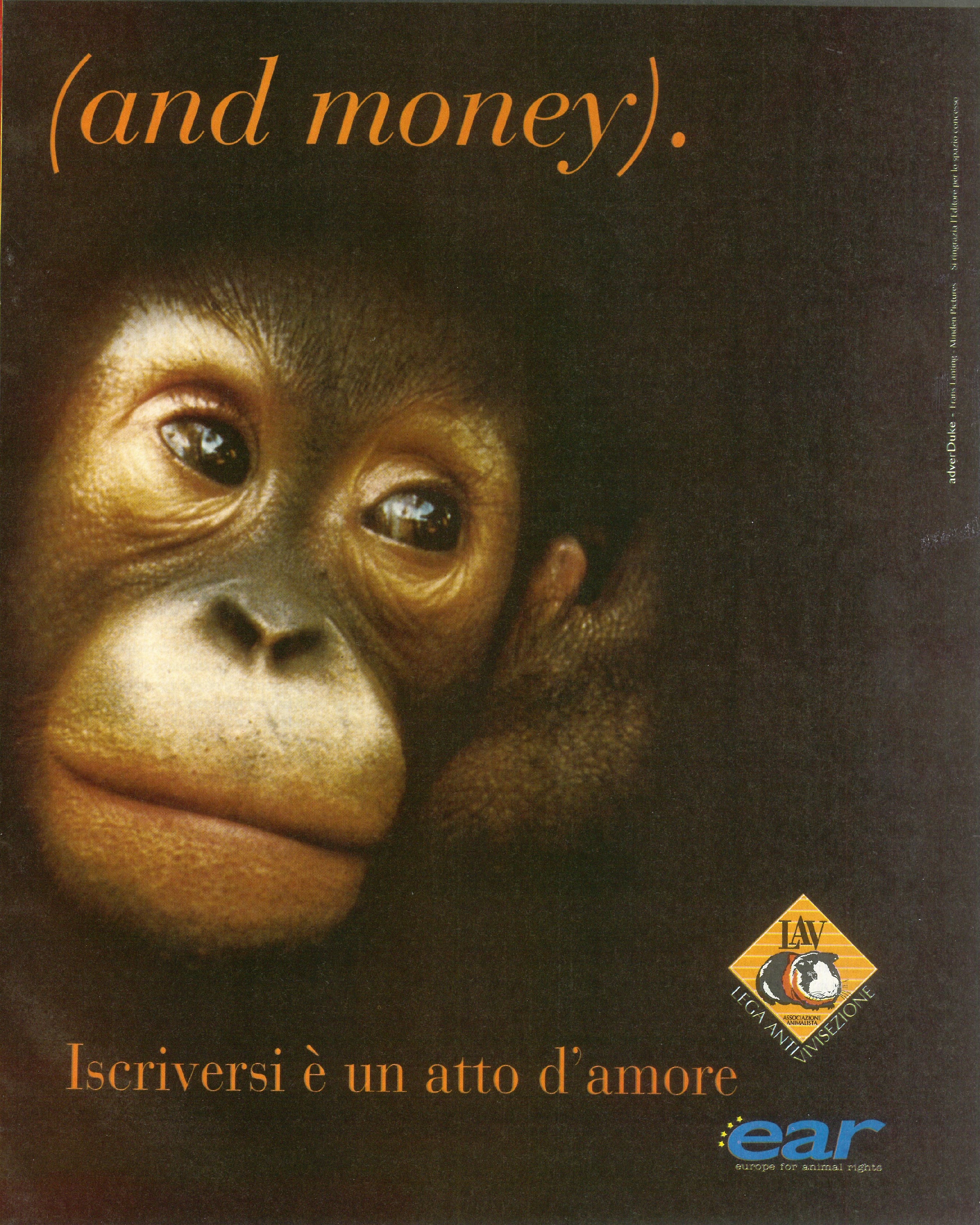 Foto: Donna in quota