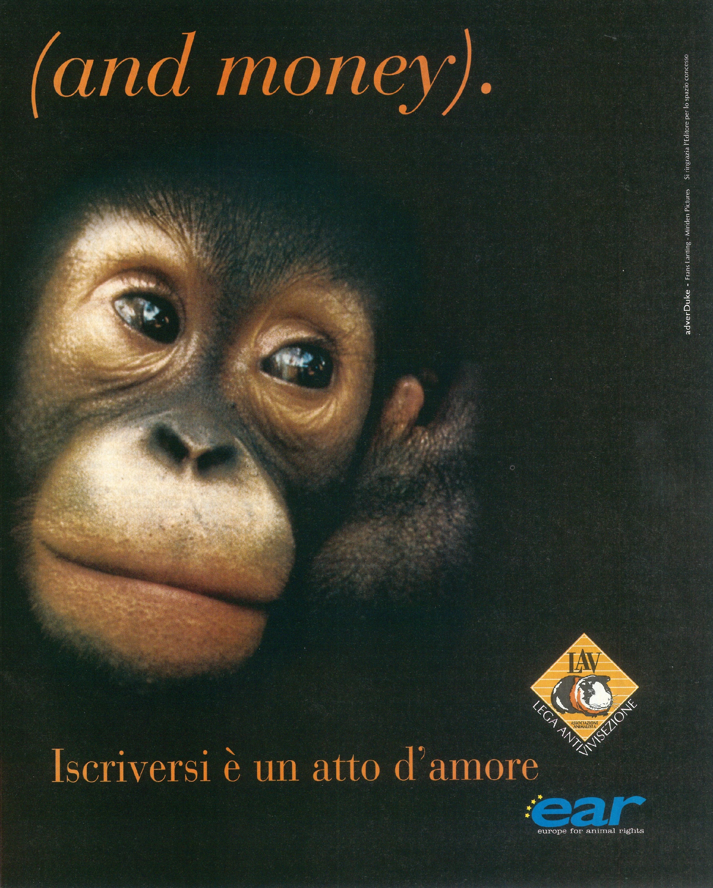 Foto: Strani giorni