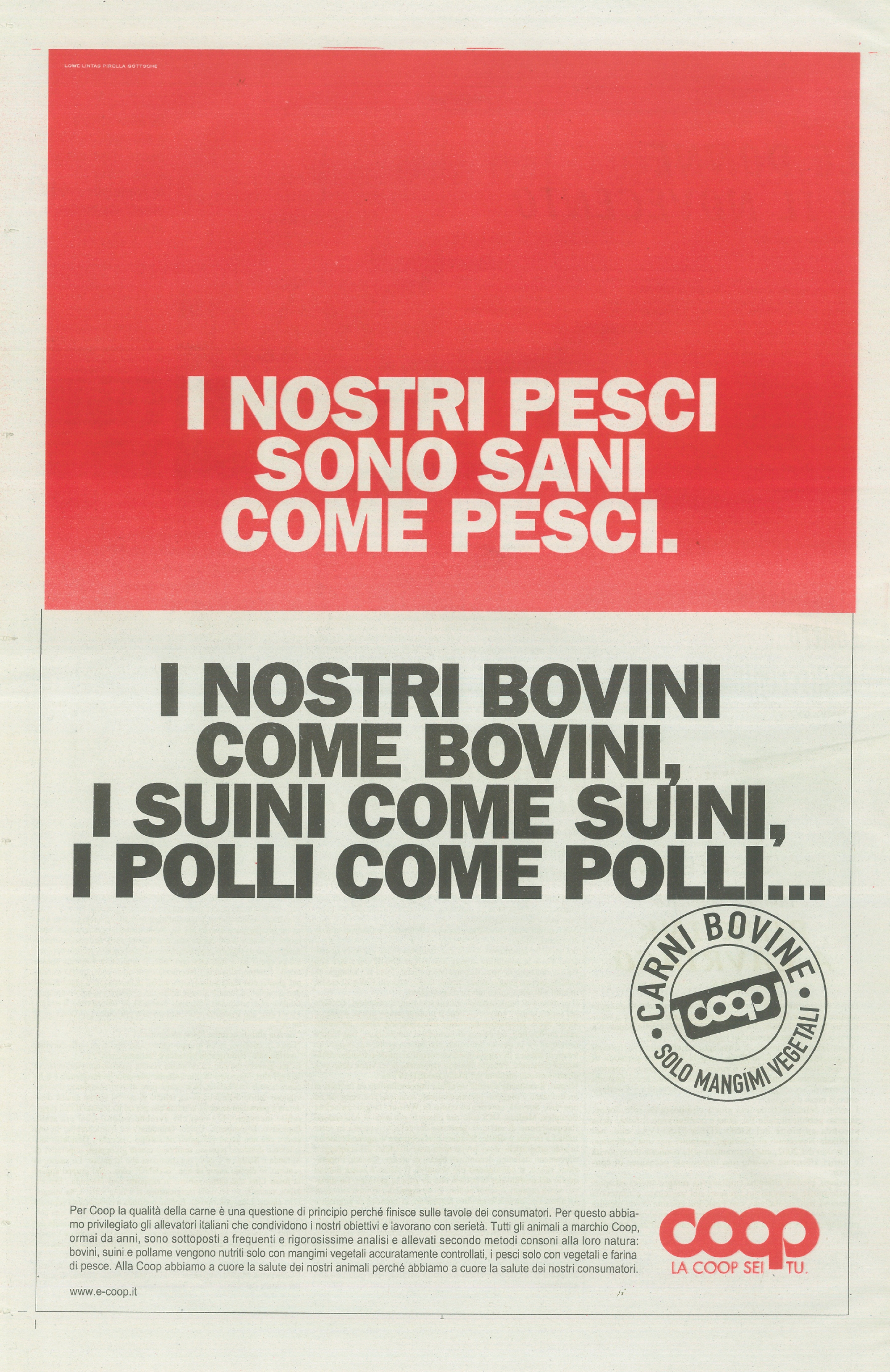 Foto: progettiamo insieme il futuro