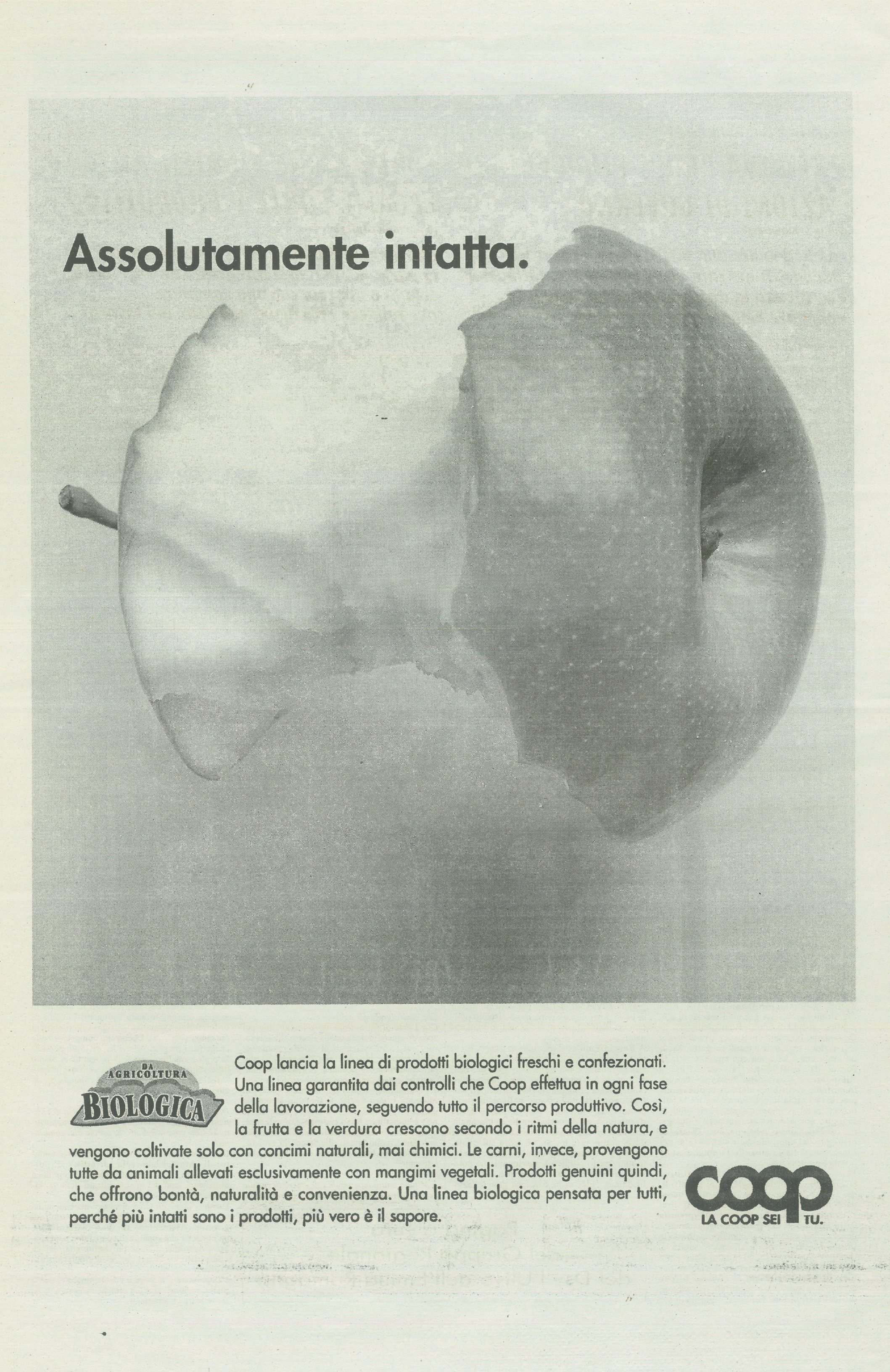 Foto: progettiamo insieme il futuro