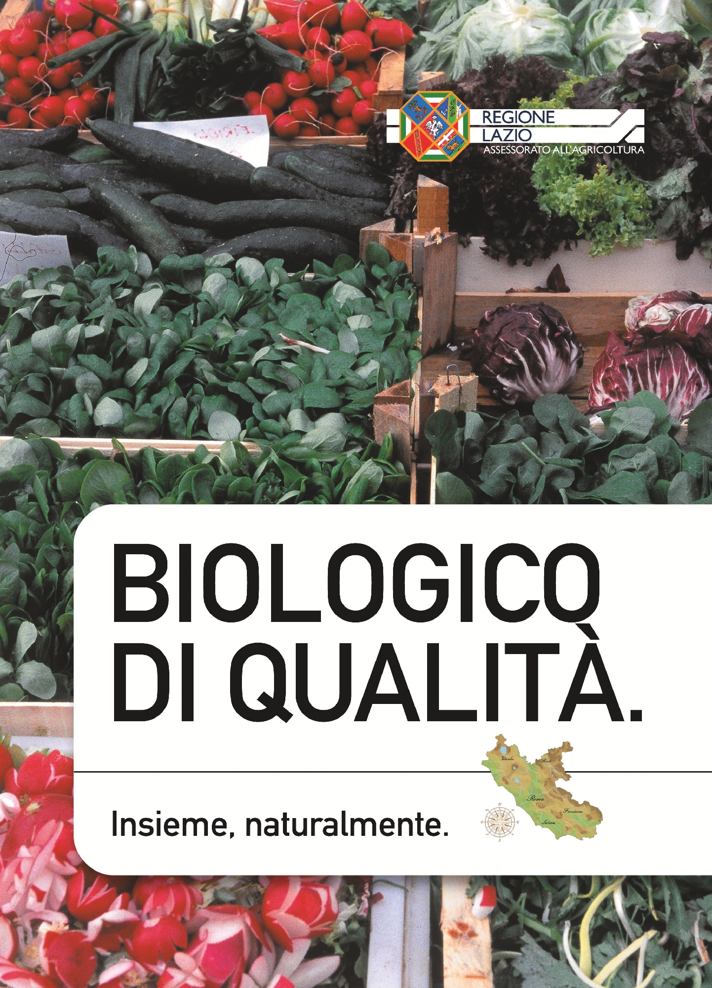 Foto: Impronte eco-illogiche